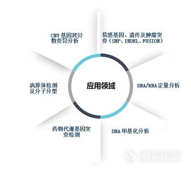 本土品牌MALDI-TOF質(zhì)譜獲醫(yī)療器械證，網(wǎng)絡技術開發(fā)助力精準醫(yī)療新突破