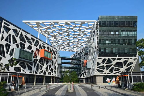 月下代碼 網絡技術開發者的中秋堅守與故事